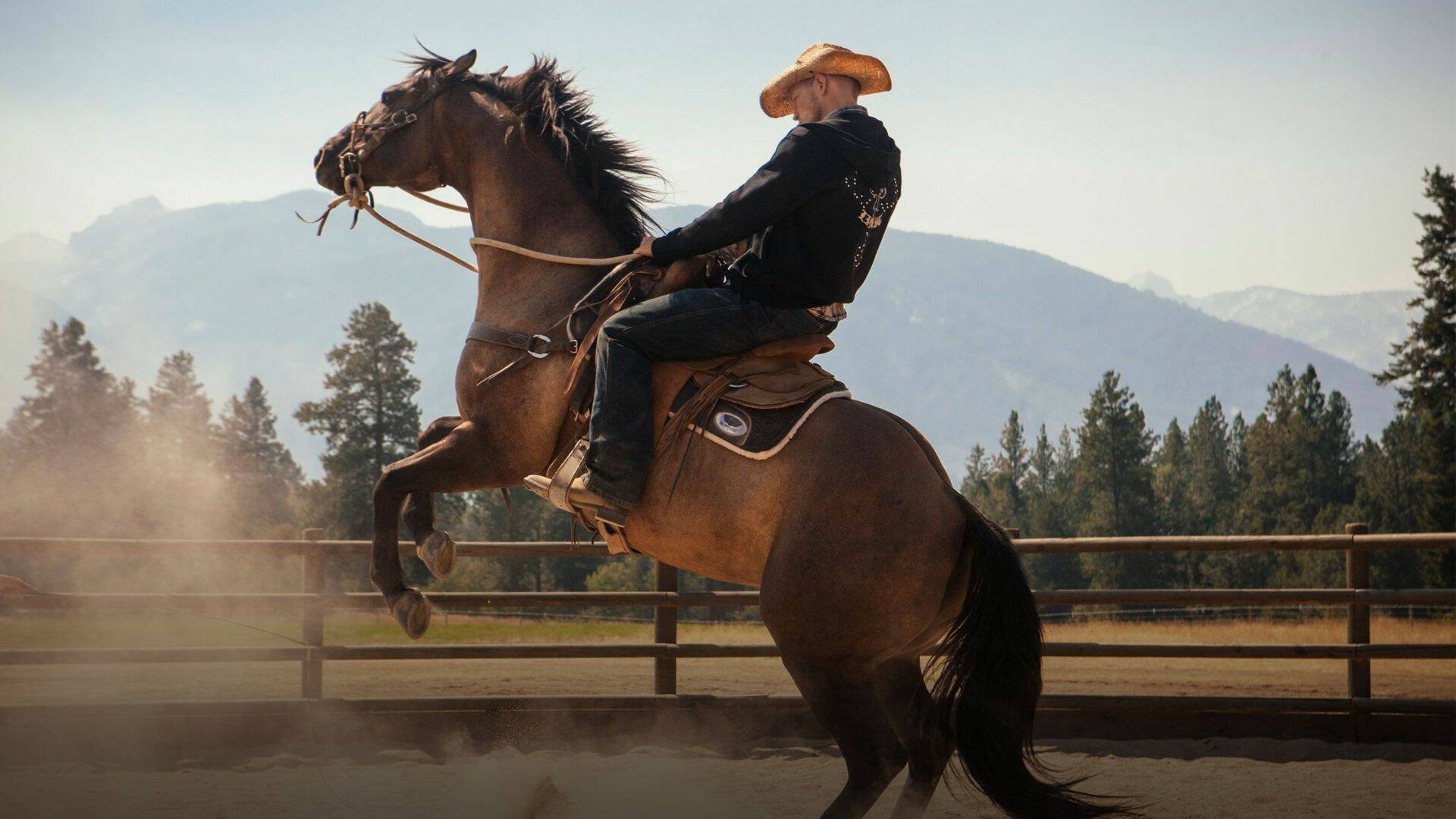 Yellowstone (T1): Ep.8 El desenlace (parte 1)