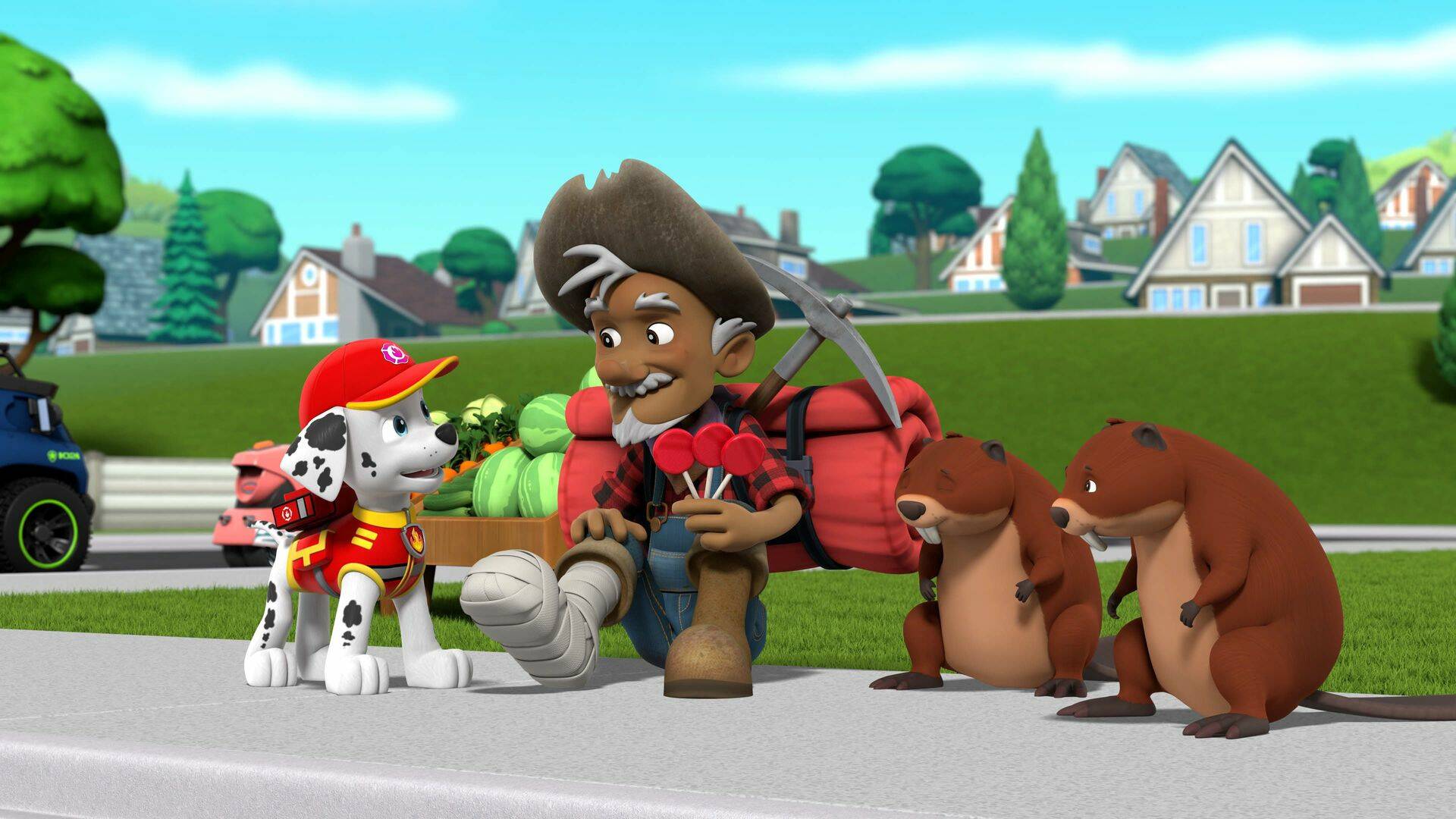 La Patrulla Canina (T9): Los cachorros salvan a los amigos emplumados de Alex; los cachorros salvan a un alcalde inflado