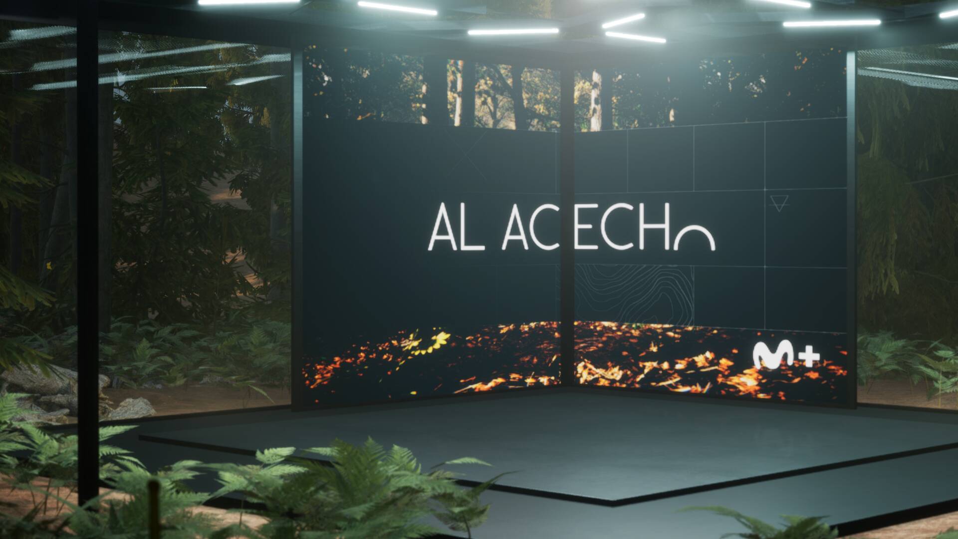 Al acecho caza (T3): Ep.12