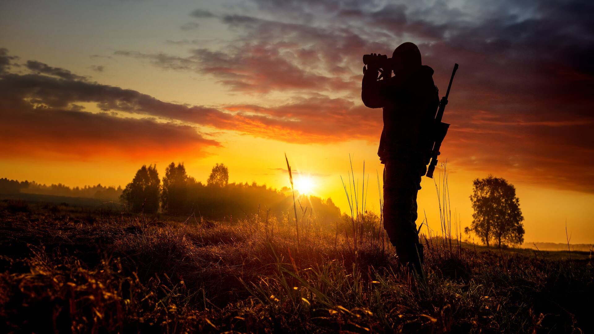 Wild hunting (T3): TJ Sánchez: The experience