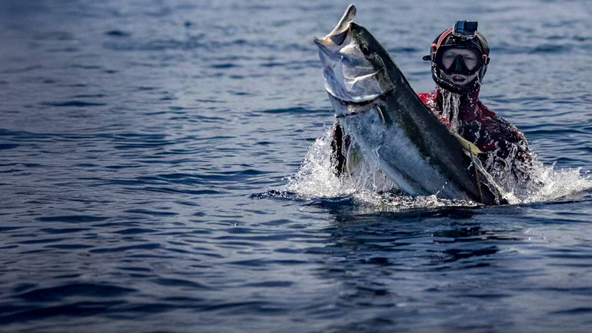 Pesca submarina en los...: Fjordland