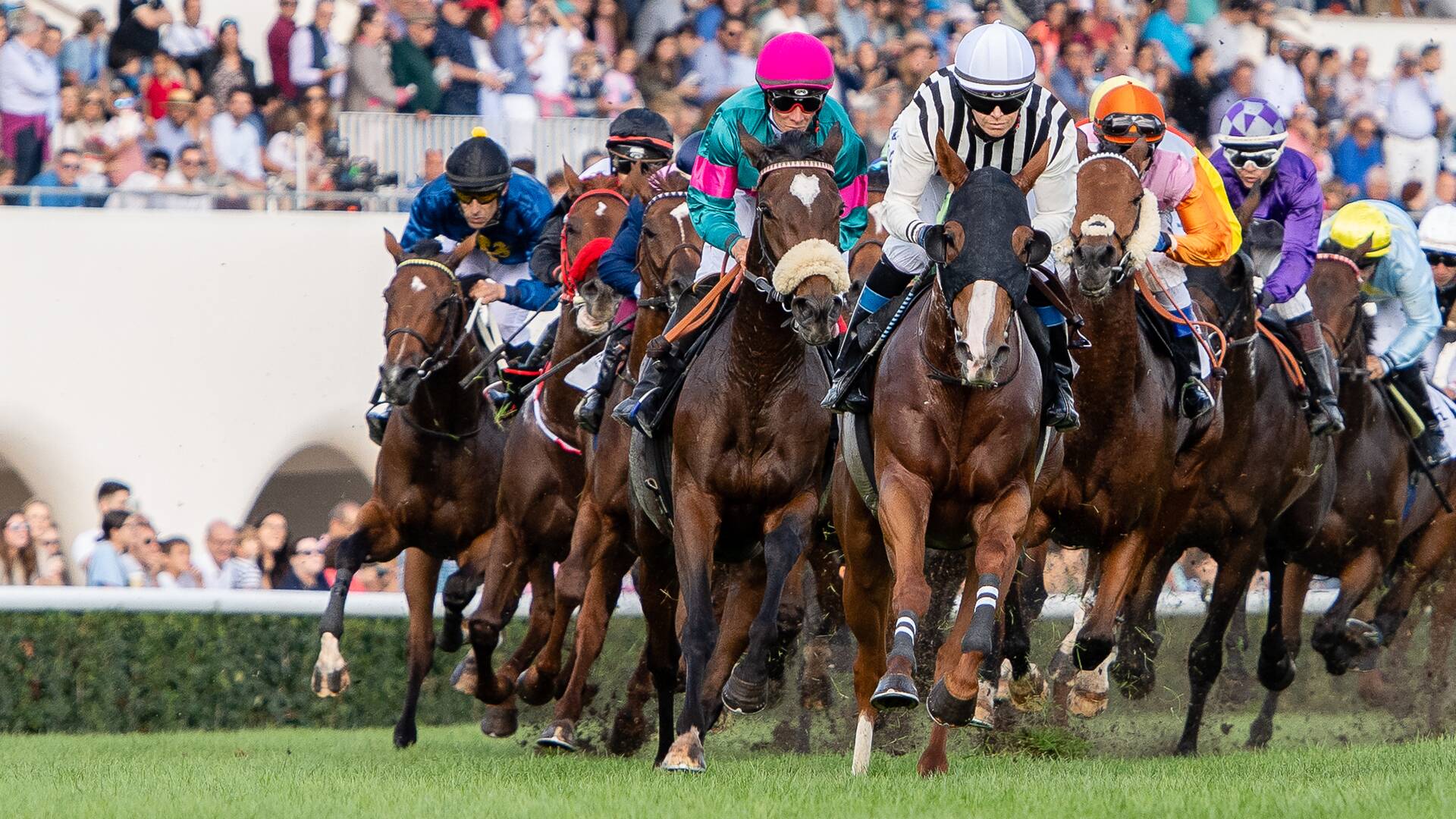 Carreras de... (2025): 18/06/2025 Hipódromo de San Sebastián