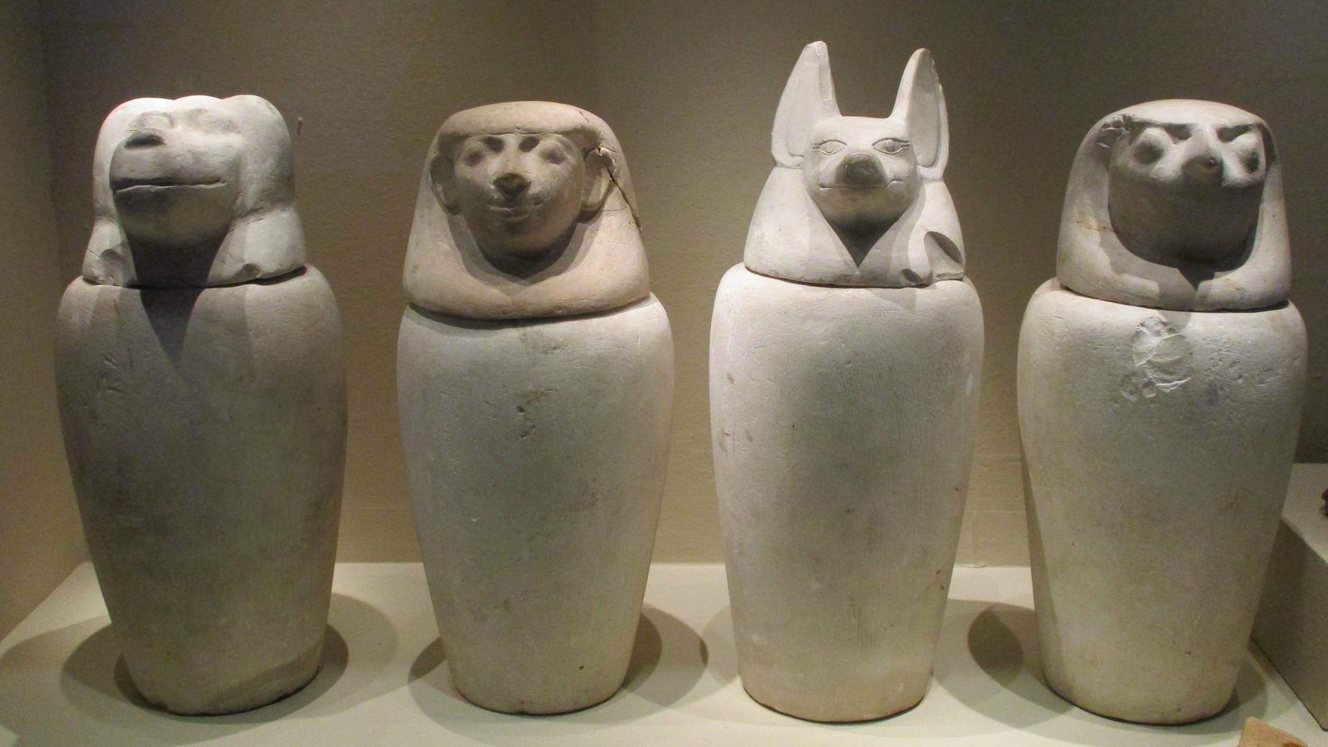 Misterios en el museo: Barco del terror y más