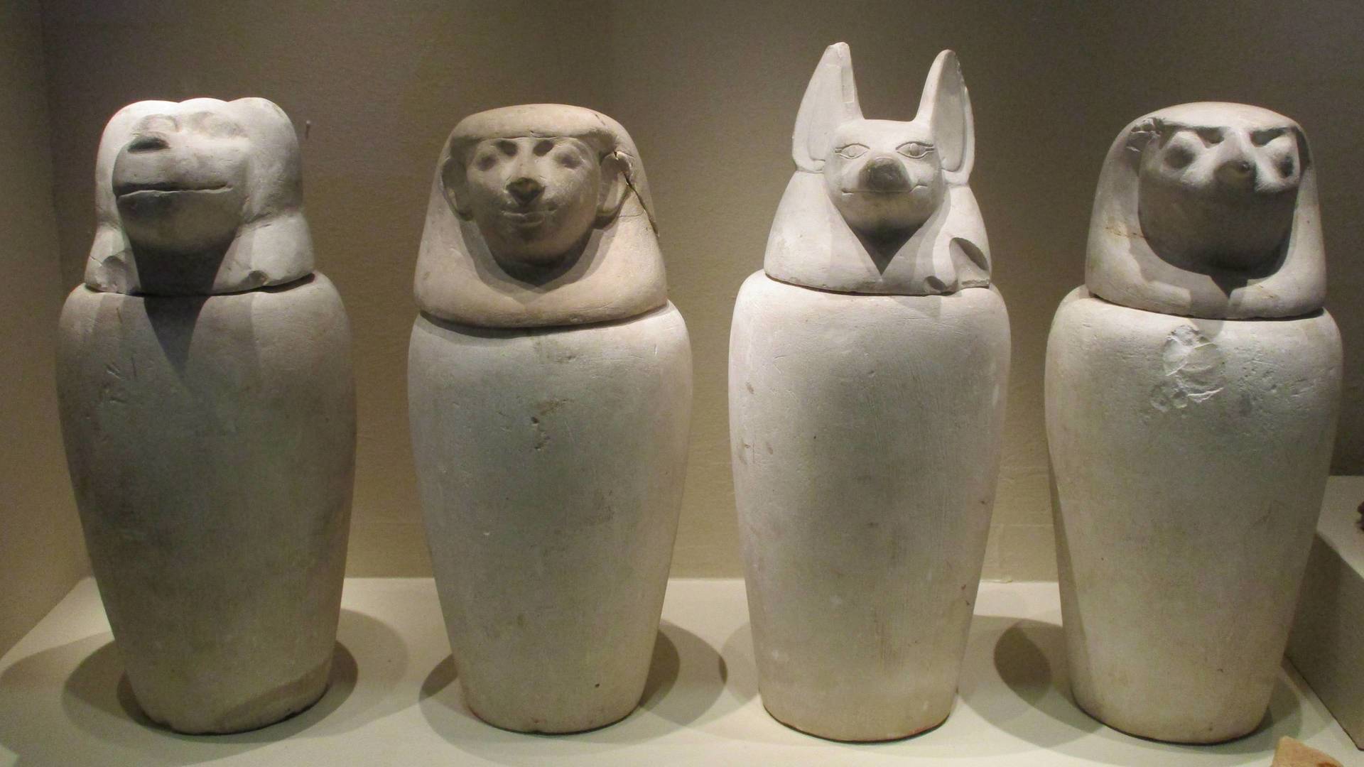 Misterios en el museo: Lord Lucan y más
