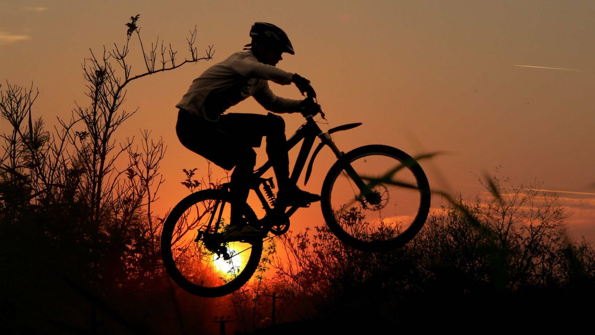 UCI MTB - Val di... (2025): Campo a través olímpico F