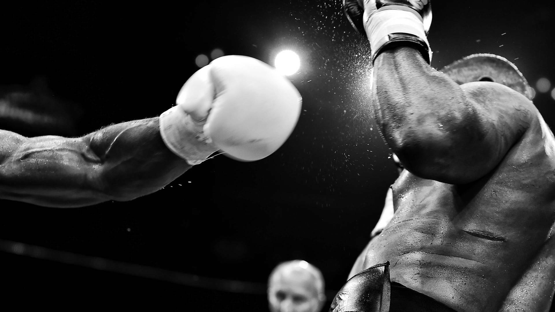 Boxeo: velada... (2016): Lee Haskins vs Stuart Hall