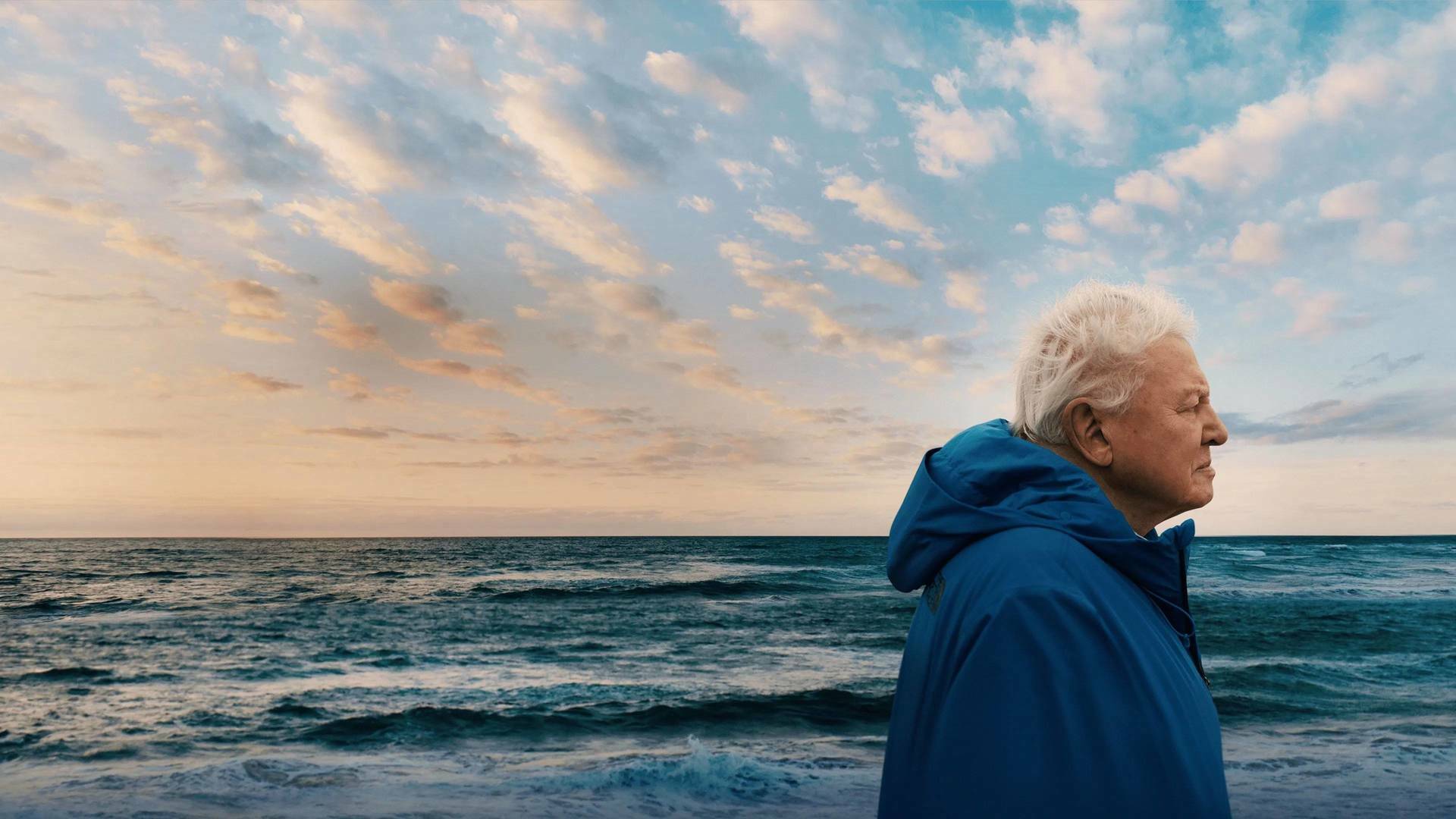 David Attenborough: Océano