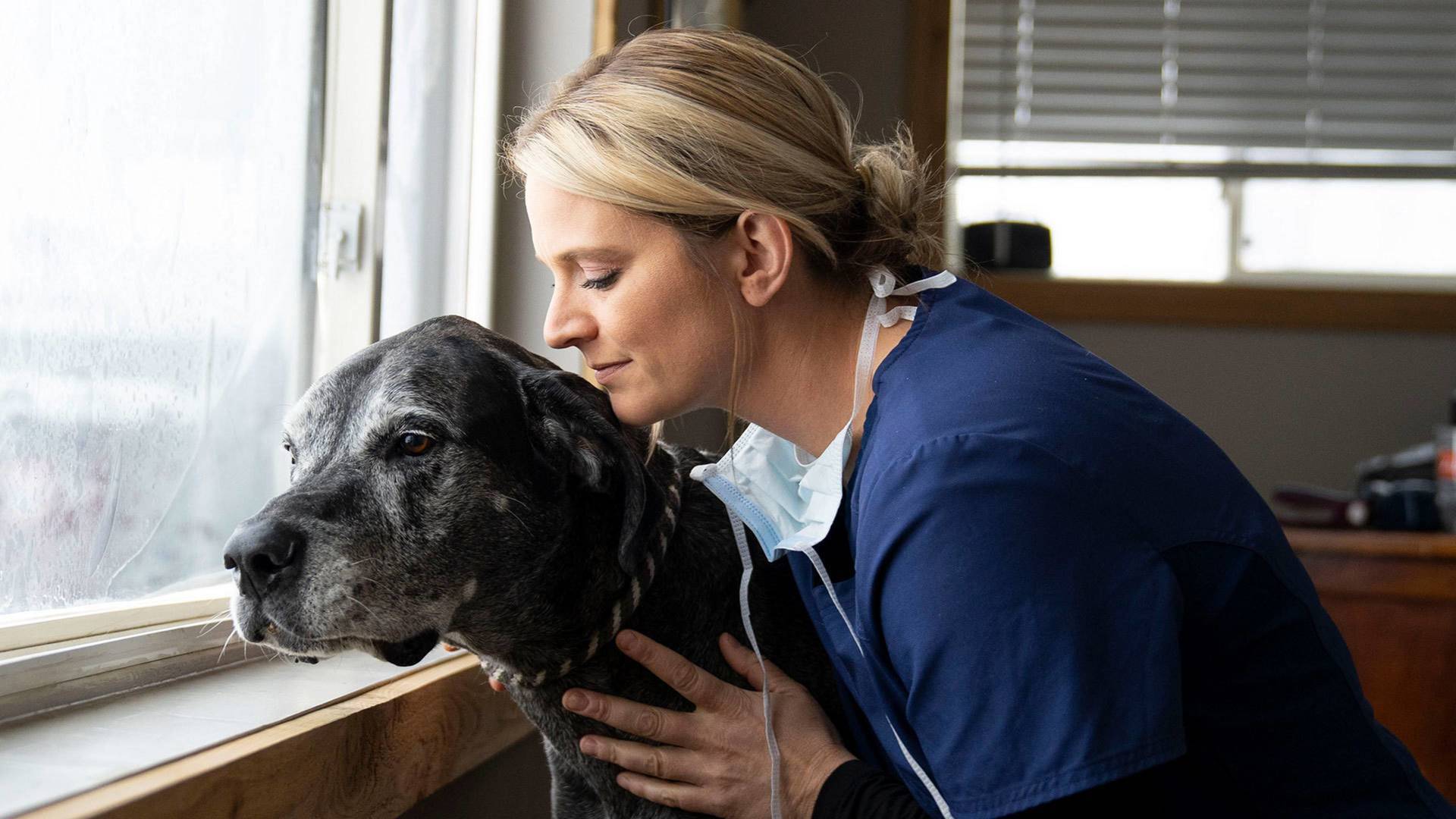 Veterinarios de... (T3): Celebración en Nebraska