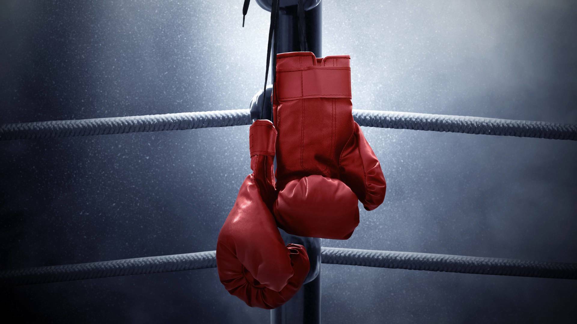 Cto. España de boxeo (2025): Finales - Día 1