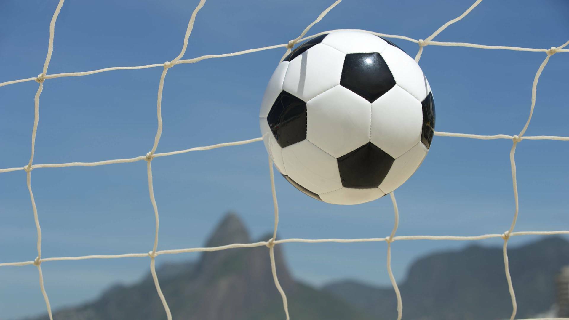 Fase Regular: CD Fun and Learning - Pozoalbense
