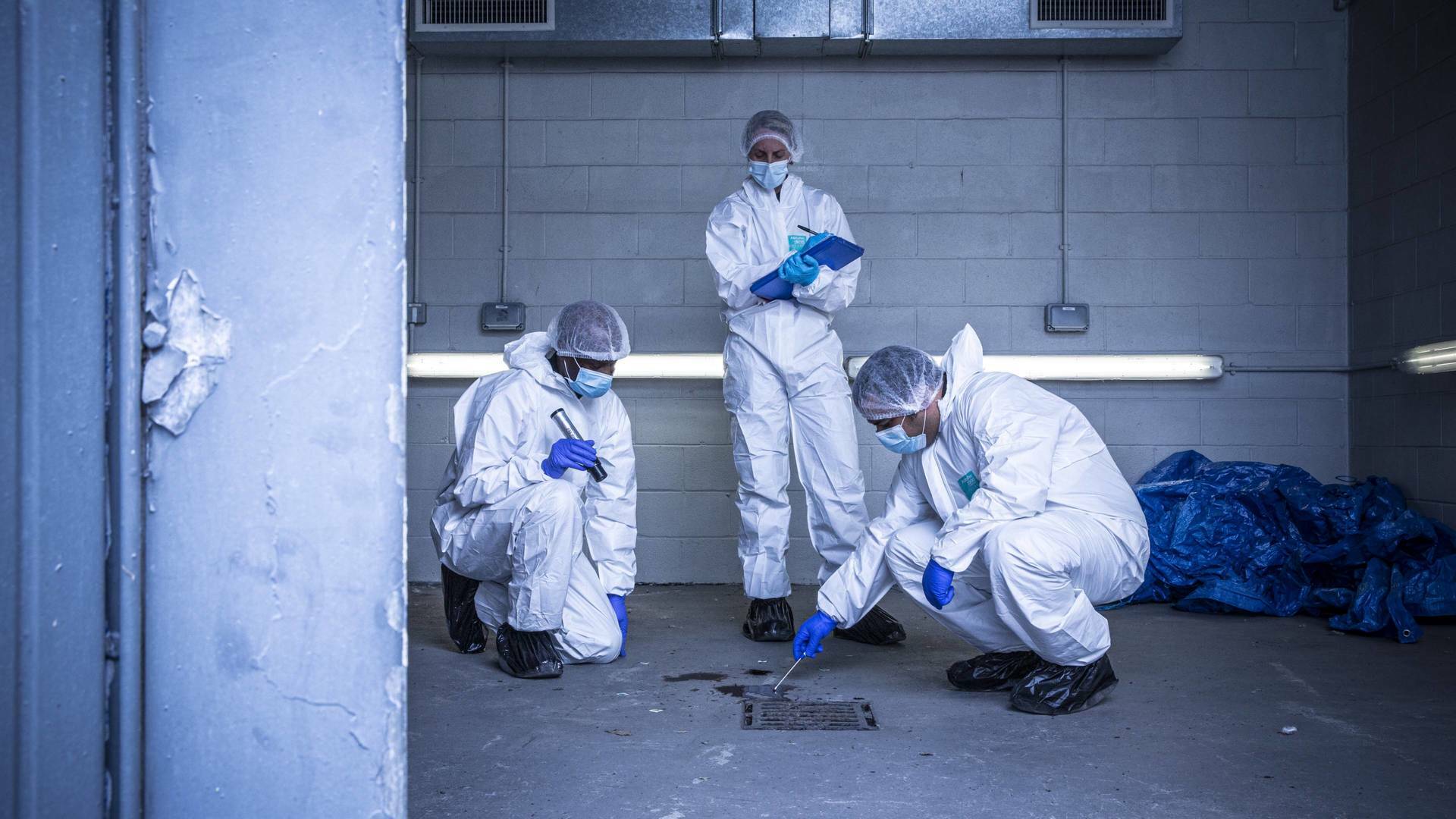 El auténtico CSI