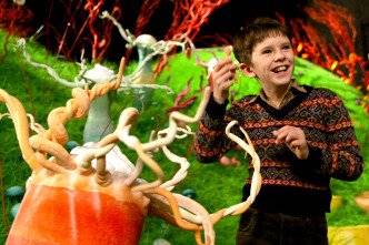 Imagen de Charlie y la fábrica de chocolate - 13