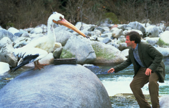 Imagen de Jumanji - 2