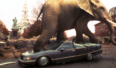 Imagen de Jumanji - 11