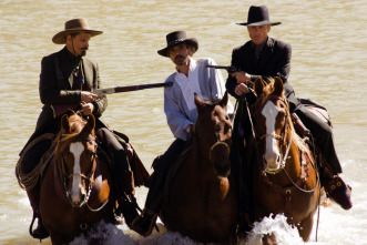 Imagen de Appaloosa - 4
