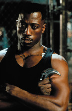Imagen de Blade - 16