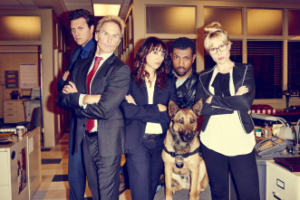 Imagen de Angie Tribeca (T1) - 5