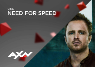 Imagen de Need for Speed - 9