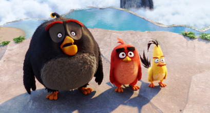 Imagen de Angry Birds. La película - 9