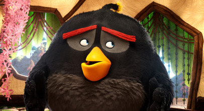 Imagen de Angry Birds. La película - 13