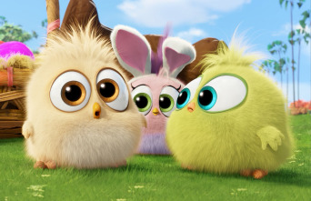 Imagen de Angry Birds. La película - 14