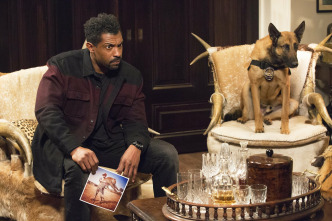 Imagen de Angie Tribeca (T3) - 10
