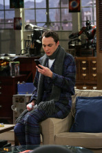 Imagen de The Big Bang Theory (T1): Ep.11 La anomalía de la masa de tortitas - 3