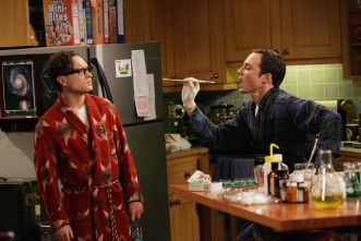 Imagen de The Big Bang Theory (T1): Ep.11 La anomalía de la masa de tortitas - 7
