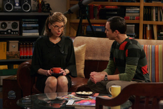 Imagen de The Big Bang Theory (T2): Ep.15 La capacitación maternal - 8