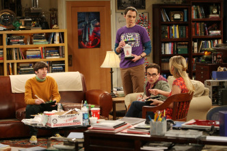 Imagen de The Big Bang Theory (T2): Ep.16 La saturación del cojín - 4