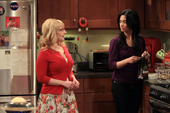 Imagen de The Big Bang Theory (T4): Ep.22 La implementación del ñu - 2