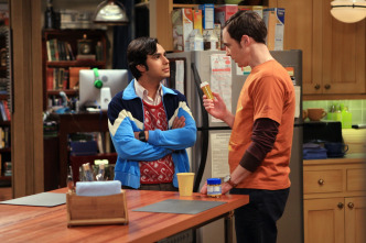 Imagen de The Big Bang Theory (T4): Ep.22 La implementación del ñu - 4