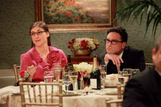 Imagen de The Big Bang Theory (T5): Ep.3 La extrapolación del tirón de ingle - 8