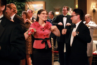 Imagen de The Big Bang Theory (T5): Ep.3 La extrapolación del tirón de ingle - 9