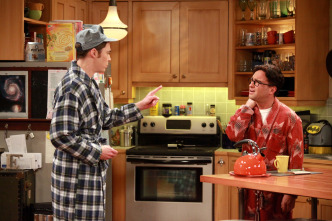 Imagen de The Big Bang Theory (T5): Ep.3 La extrapolación del tirón de ingle - 11