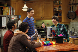 Imagen de The Big Bang Theory (T5): Ep.12 La maniobra de la baratija brillante - 9