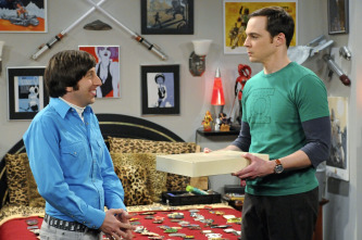 Imagen de The Big Bang Theory (T5): Ep.21 La excitación de Hawking - 7