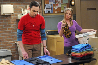 Imagen de The Big Bang Theory (T5): Ep.21 La excitación de Hawking - 8
