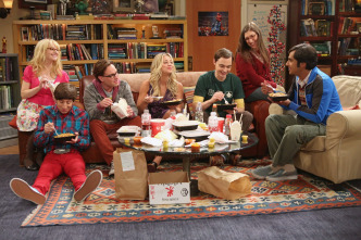 Imagen de The Big Bang Theory (T6): Ep.4 Minimizando la reentrada - 4
