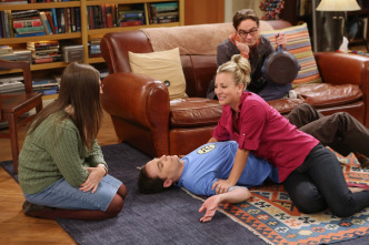 Imagen de The Big Bang Theory (T6): Ep.4 Minimizando la reentrada - 8