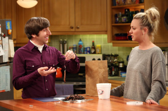 Imagen de The Big Bang Theory (T6): Ep.10 Extirpando las entrañas de un pez - 7