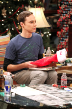 Imagen de The Big Bang Theory (T6): Ep.11 La simulación Santa Claus - 3
