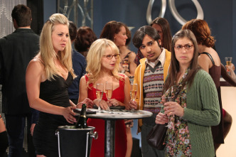 Imagen de The Big Bang Theory (T6): Ep.11 La simulación Santa Claus - 6