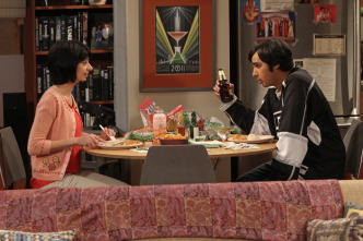 Imagen de The Big Bang Theory (T6): Ep.21 La alternativa de la finalización - 10