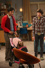 Imagen de The Big Bang Theory (T6): Ep.22 La resurgencia del protón - 1