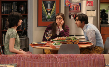 Imagen de The Big Bang Theory (T6): Ep.24 La reacción de la despedida - 6