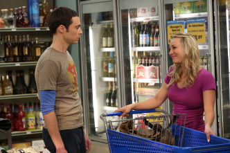 Imagen de The Big Bang Theory (T6): Ep.24 La reacción de la despedida - 7