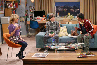 Imagen de The Big Bang... (T7): Ep.10 La disipación del descubrimiento - 10