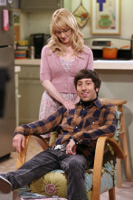 Imagen de The Big Bang Theory (T8): Ep.3 La insuficiencia del primer lanzamiento - 10