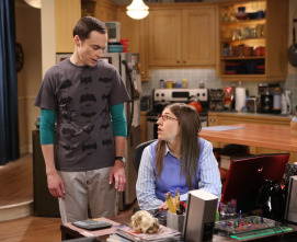 Imagen de The Big Bang Theory (T8): Ep.6 La aproximación de la expedición - 7